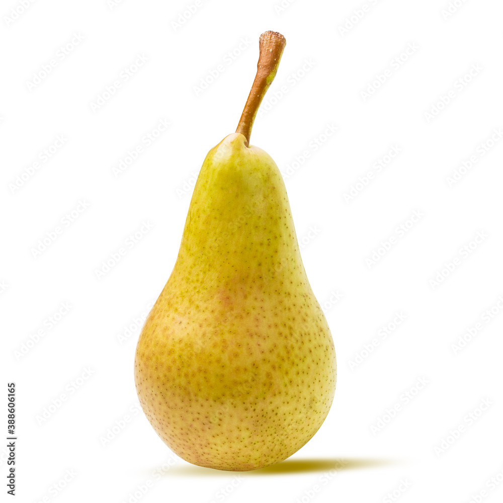 Conference pear isolated on white background Conference pear isolated on white background