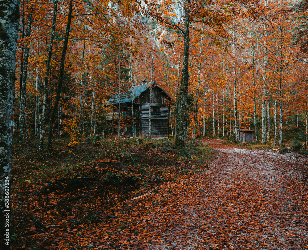 Hütte im Herbst - Salzkammergut - Oberösterreich Hütte im Herbst - Salzkammergut - Oberösterreich
