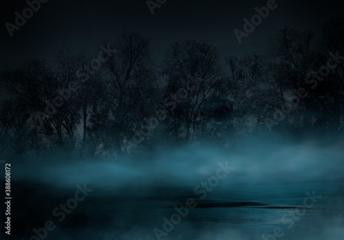 Dark gloomy forest. Night in the forest. Nature scene with forest and moonlight. Night view of the forest, nature, fog, smog, smoke. © MiaStendal