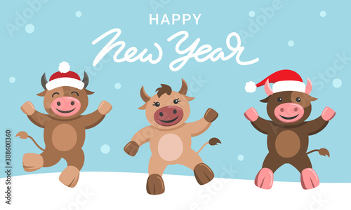 The year of the ox. Merry Christmas and happy new year 2021. Funny vector illustration.