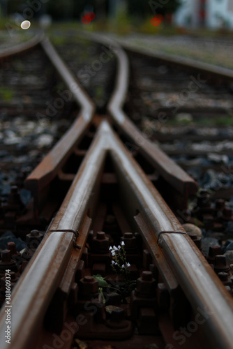 tracks in the railway