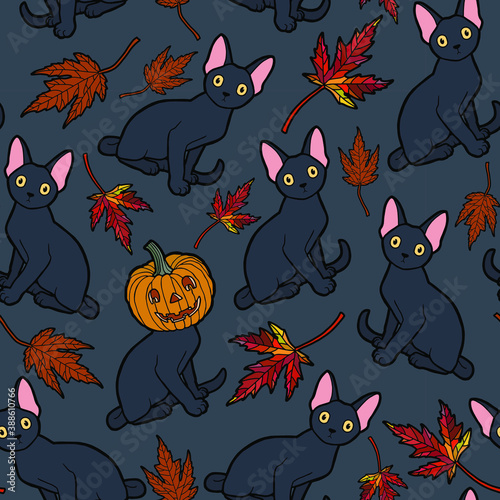 Vector illustration. Hand drawing art. Seamless background. Cats, pumpkins and maple leaves. Halloween decoration.