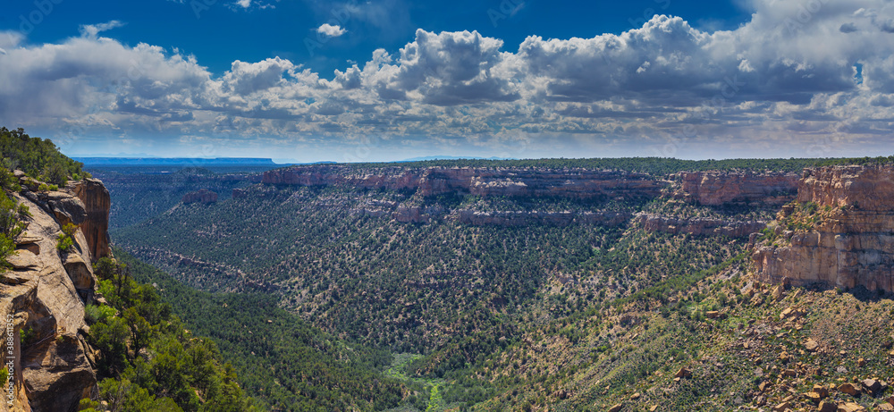 Canyon with tree-covered slopes under a cloudy sky. Panorama from several shots.