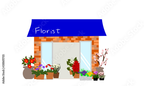 冬の花屋