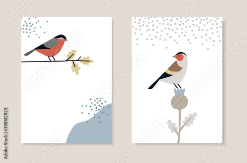 Set of Christmas Scandinavian greeting cards, invitations. Bullfinch bird siting on oak branch. European goldfinch with thistle and falling snow. Nordic retro design, Vector illustration background.