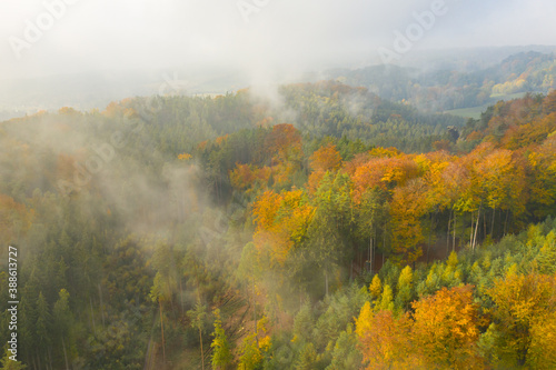 Panoramic view on the orange and green forest in fog weather in autumn or fall