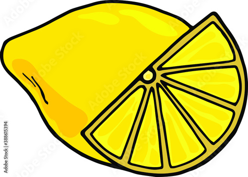 Hand drawn vector fruit - lemon, isolated on white background. Organic healthy food.