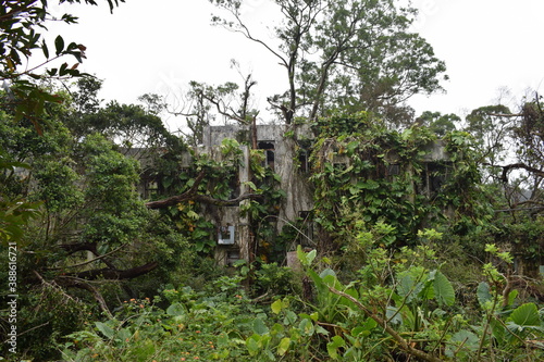 abandoned building in the jungle © Oleksandr