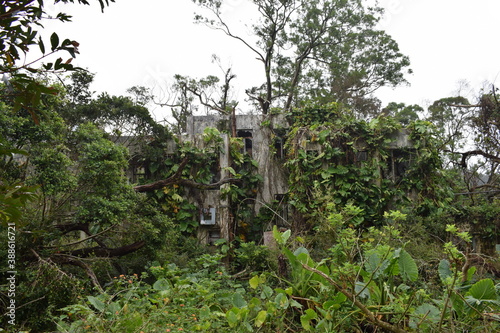 abandoned building in the jungle