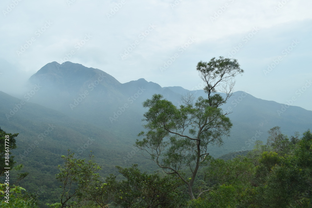 Obraz premium fog in the mountains