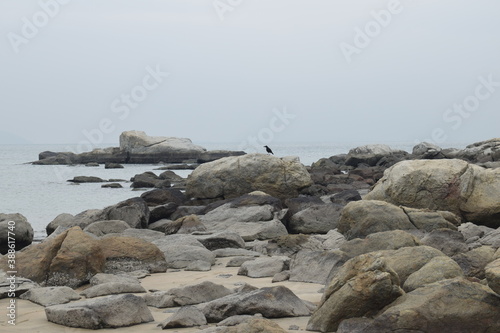 rocks on the beach. bird on the rocks