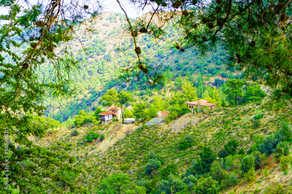 Obraz premium Picturesque Summer Mountain Rural Landscape and Residential Buildings