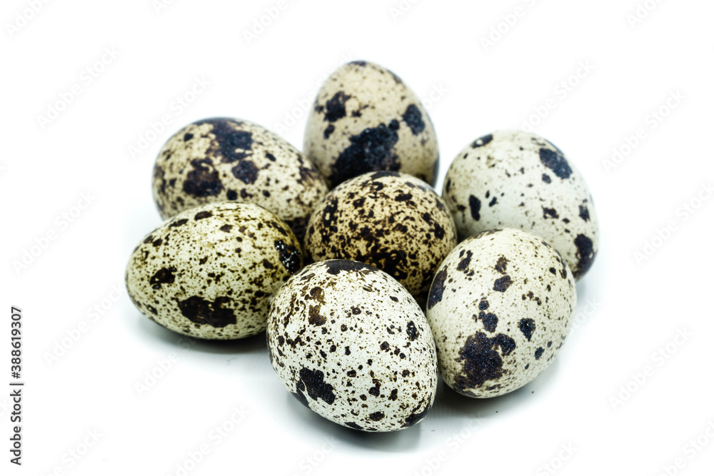 Quail egg isolated on white background Quail egg isolated on white background