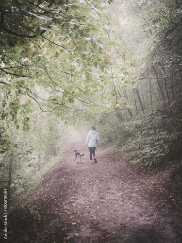 Poranny spacer z psem w zamglonym lesie nad jeziorem Otomin koło Gdańska