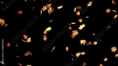 Falling autumn maple leaves realistic.3D rendering.Element footage with alpha channel