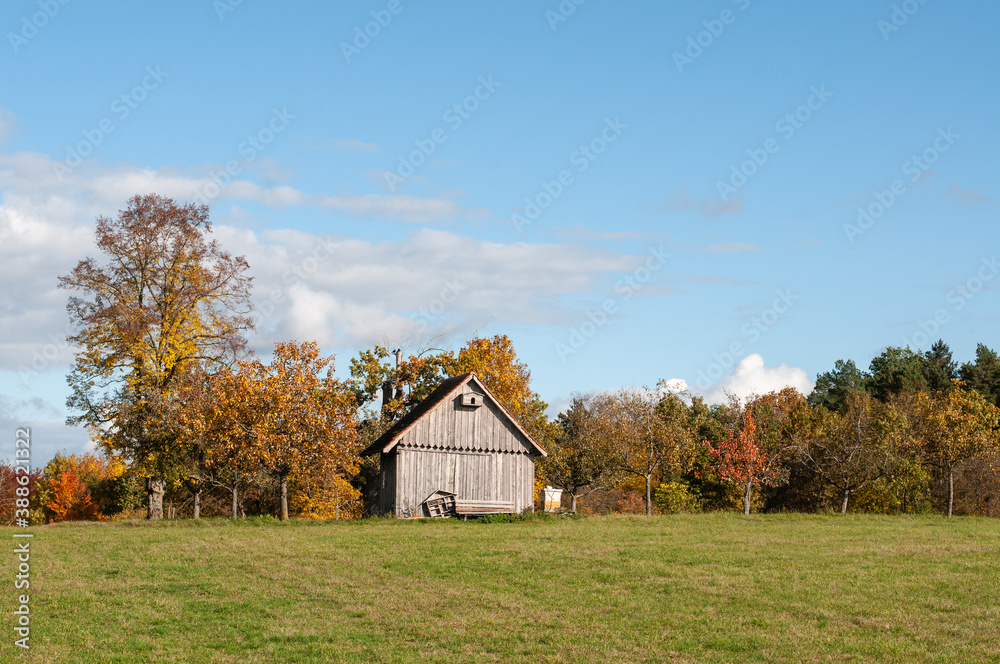 a small wooden hut in an orchard a small wooden hut in an orchard