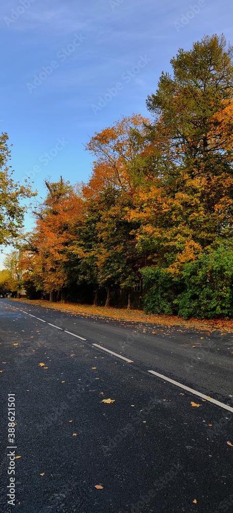 Autumn highway