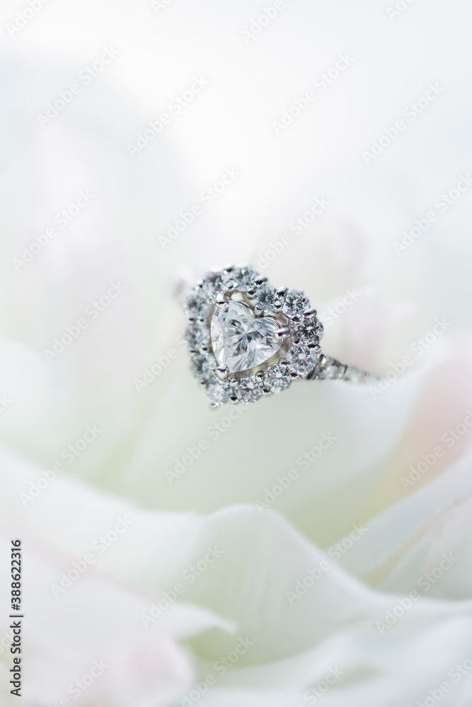花の上のダイヤモンドリング 花の上のダイヤモンドリング