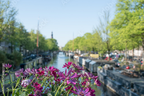 Flowers on a bridge in the city of Amsterdam