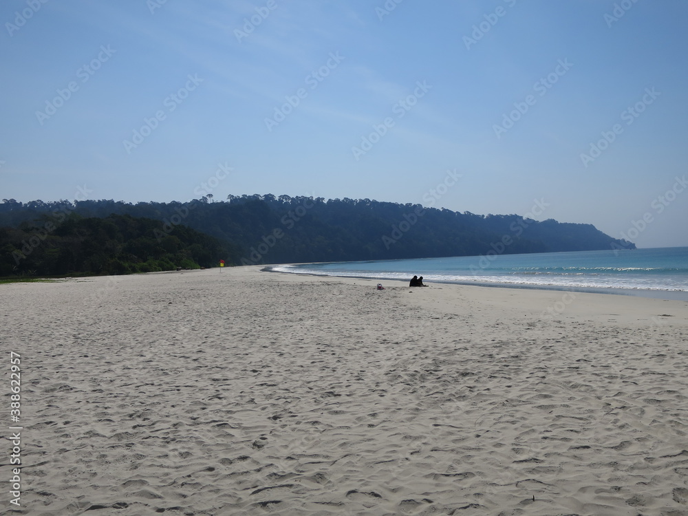 Isole Andamane - spiaggia con ramo