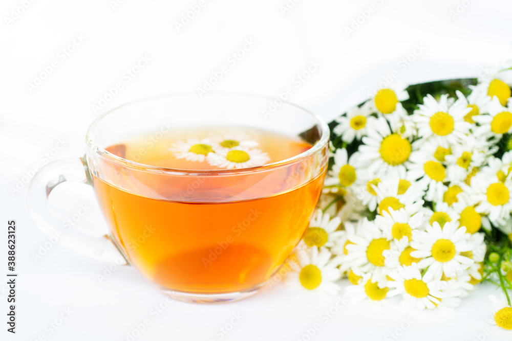 cup of herbal chamomile tea and daisy flowers on white background doctor treatment and prevention of immune concept, medicine - folk, alternative, complementary, traditional medicine cup of herbal chamomile tea and daisy flowers on white background doctor treatment and prevention of immune concept, medicine - folk, alternative, complementary, traditional medicine