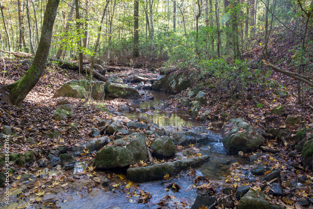 Rocky Creek Flowing through a Sunlit Forest Rocky Creek Flowing through a Sunlit Forest
