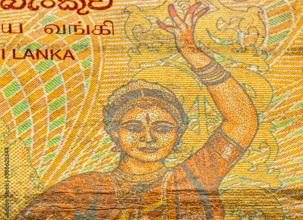 100 Sri Lankan rupee bank note closeup