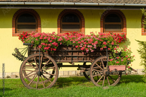 Garden chart full of flowers in blossom in a spring