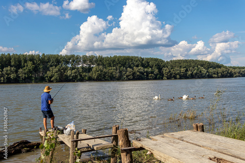 Senior man fishing with a fishing rod on the Danube river. Old man is accompanied by swans.