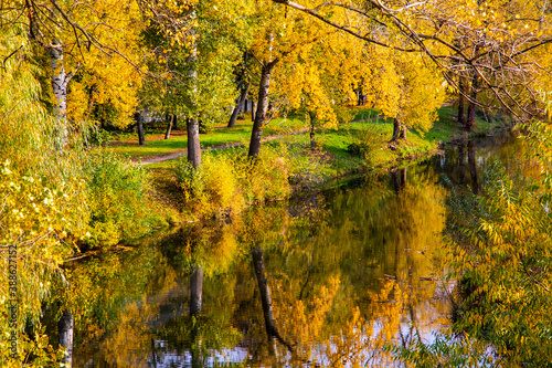 Autumn landscape with a river and trees. The surface of the water reflects the trees and lends symmetry to the image.  © The physicist