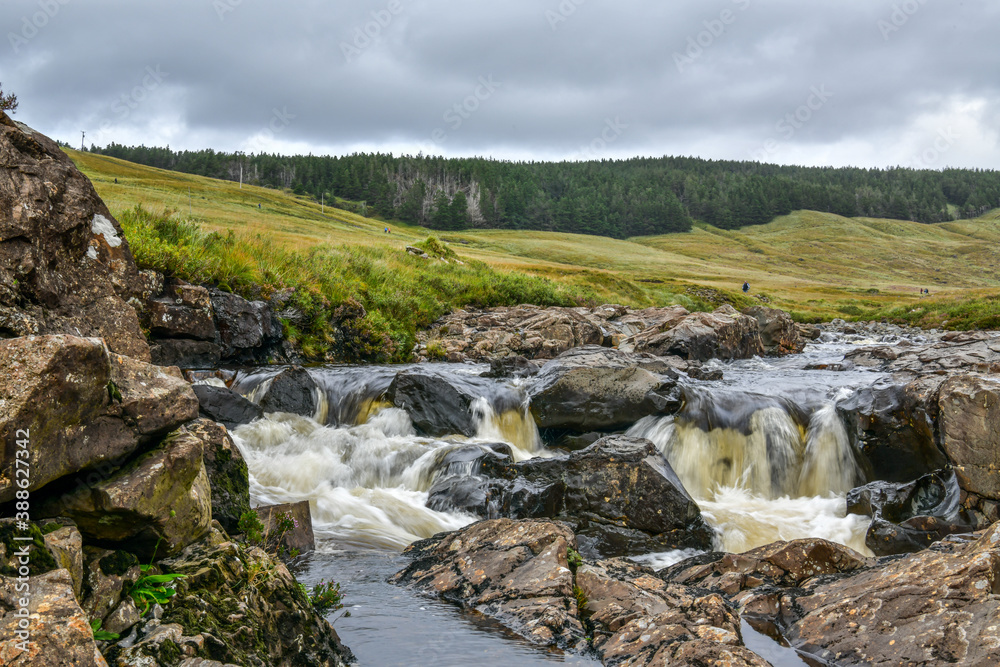 Obraz premium beautiful landscapes, waterfalls, forests full of mushrooms and views of the Isle of Skye in Scotland