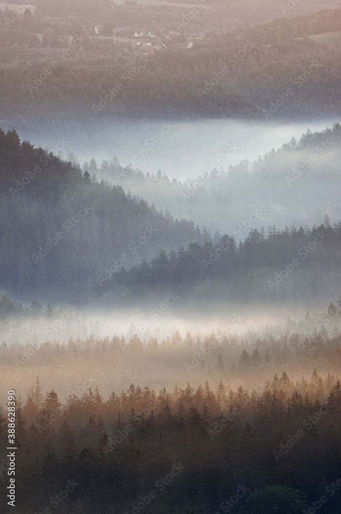Fototapeta premium Nebel in der Sächsischen Schweiz