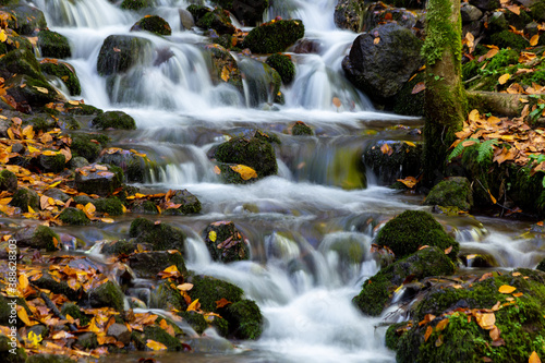 waterfall in autumn forest