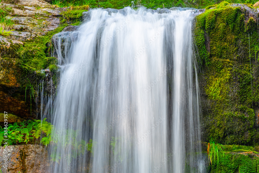 Fototapeta premium Wild Forest Waterfall