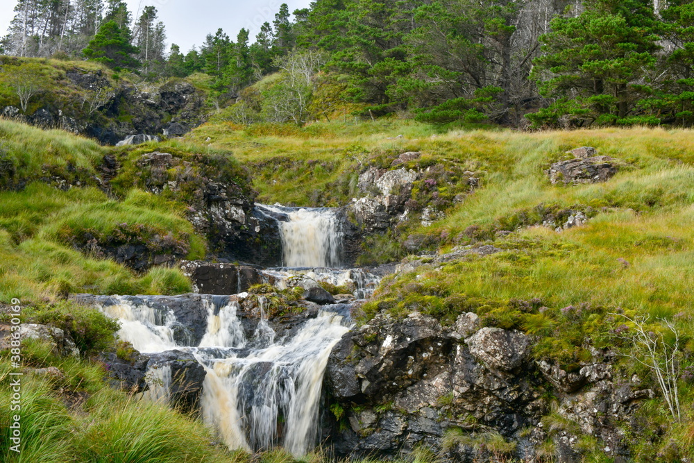 beautiful landscapes, waterfalls, forests full of mushrooms and views of the Isle of Skye in Scotland