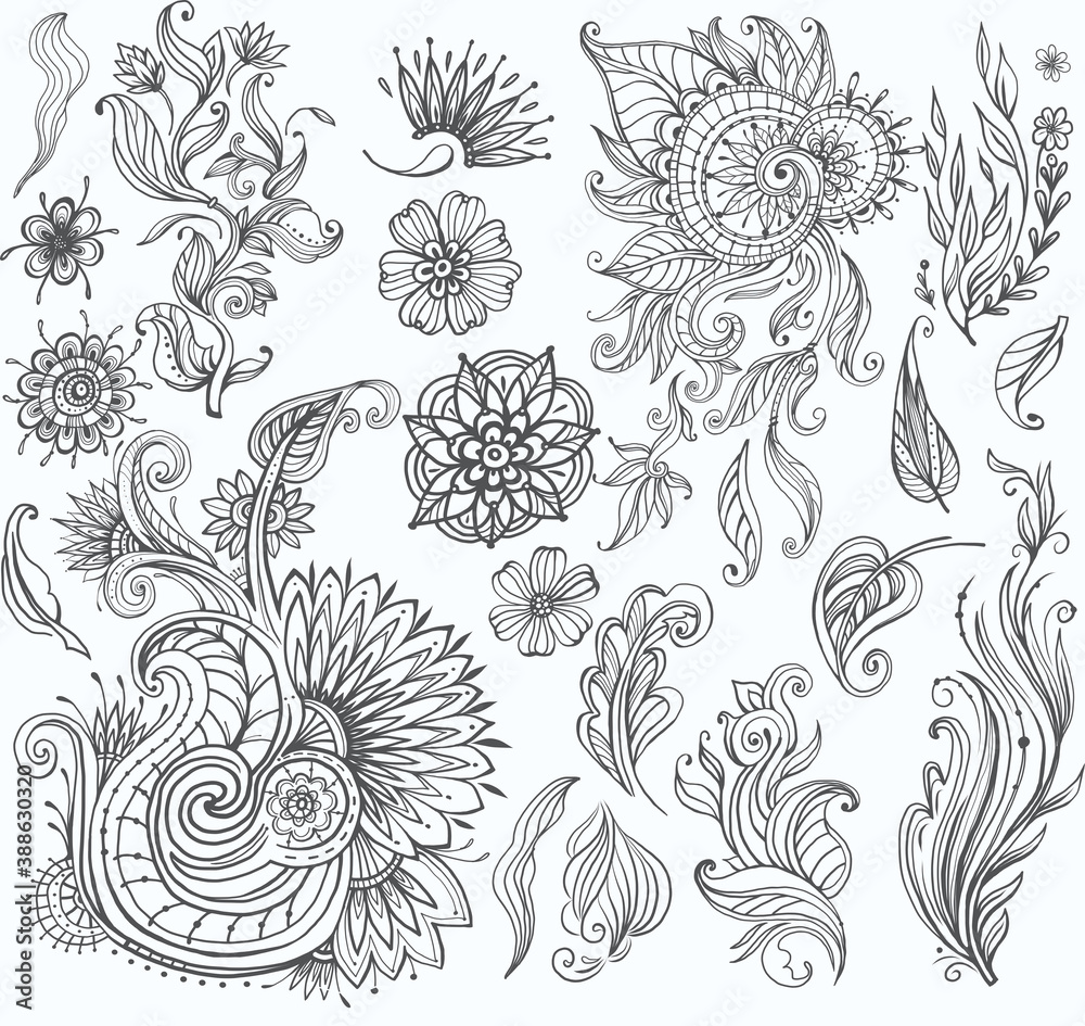 Fototapeta premium Set of decorative floral elements for design