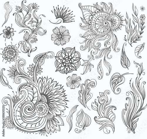 Set of decorative floral elements for design