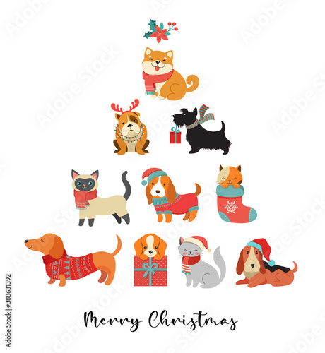 Collection of Christmas cats and dogs, Merry Christmas illustrations of cute pets with accessories like a knitted hats, sweaters, scarfs 