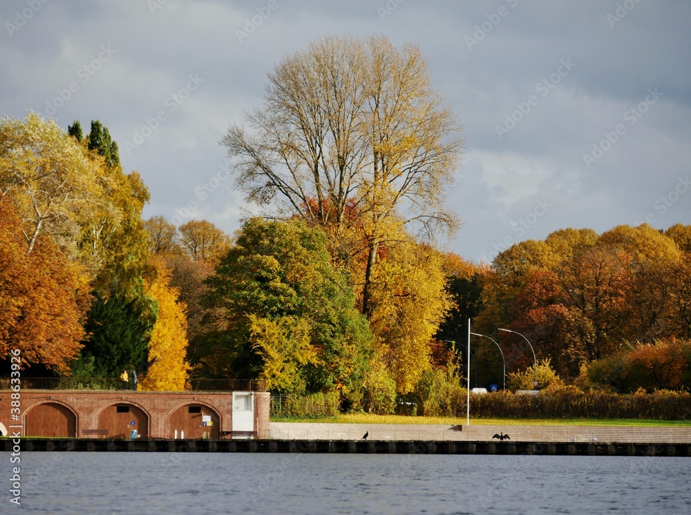 Obraz premium Herbst im Hamburger Stadtpark
