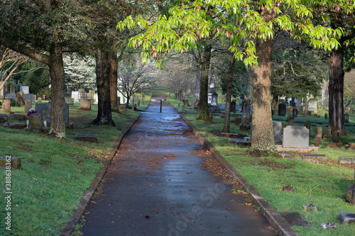 alley in the park