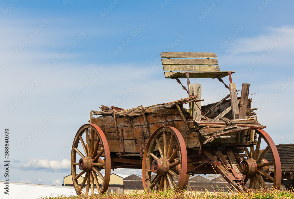 Old wooden broken cart in the field. Selective focus, close up, street photo, travel photo.