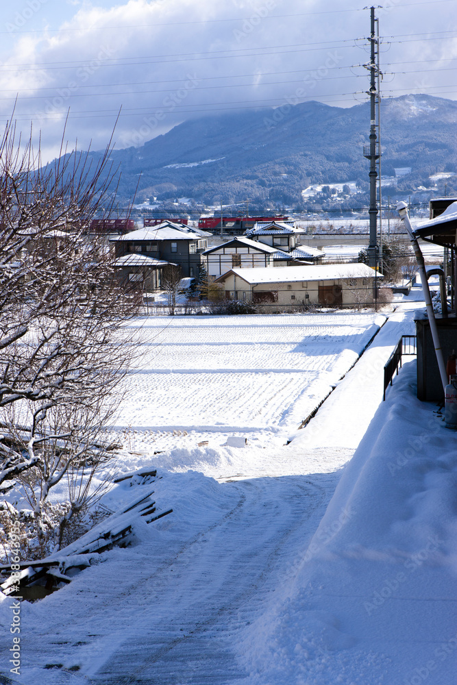 雪が降り積もった平泉町