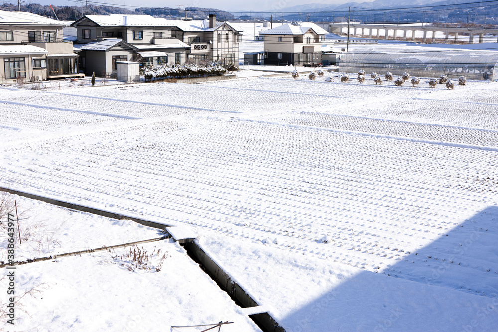 雪が降り積もった平泉町 雪が降り積もった平泉町