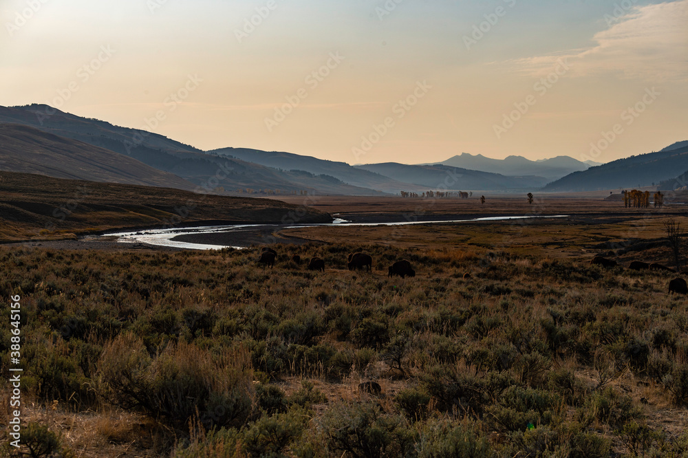 Lamar Valley