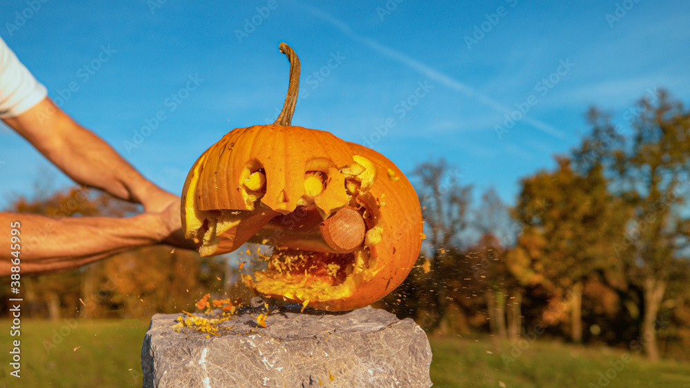 CLOSE UP: Halloween pumpkin with scared face getting smashed with baseball bat - obrazy, fototapety, plakaty 