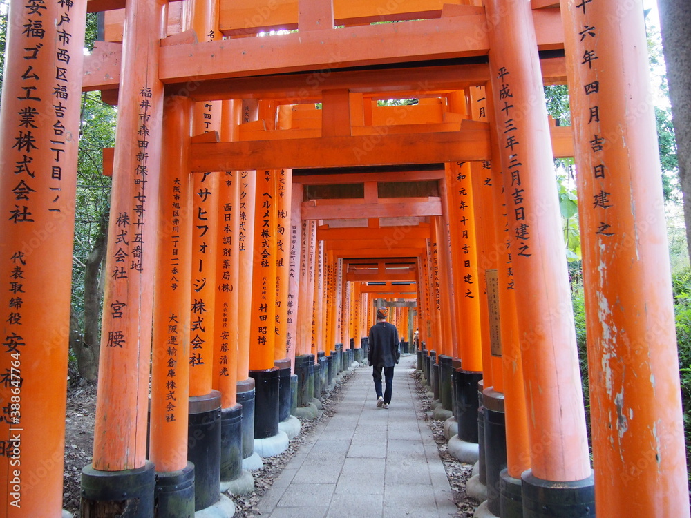 A woman walks through the red torii gates of Fushimi Inari Taisha, It is famous for its thousands of vermilion torii gates, Kyoto, Japan A woman walks through the red torii gates of Fushimi Inari Taisha, It is famous for its thousands of vermilion torii gates, Kyoto, Japan