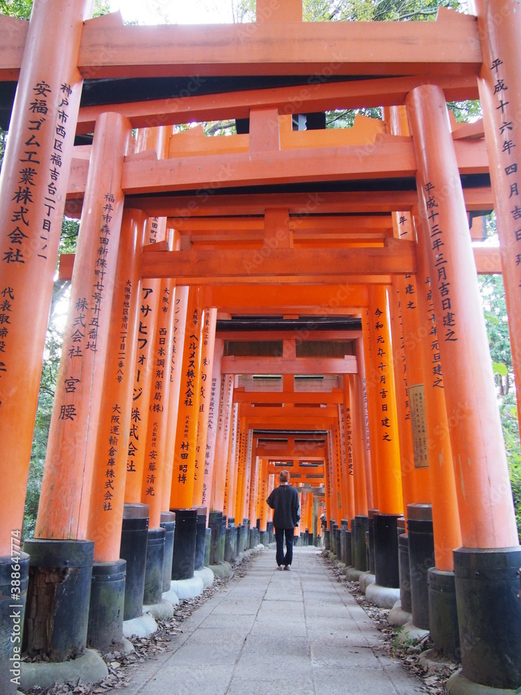 A woman walks through the red torii gates of Fushimi Inari Taisha, It is famous for its thousands of vermilion torii gates, Kyoto, Japan A woman walks through the red torii gates of Fushimi Inari Taisha, It is famous for its thousands of vermilion torii gates, Kyoto, Japan