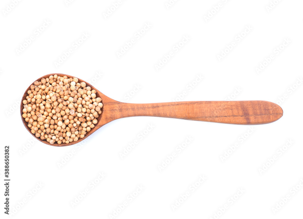 Coriander seeds isolated on white background