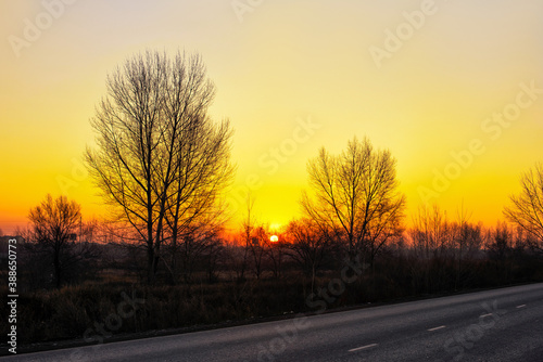 Bright sunset on the background of orange sky and forest.