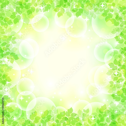 【キラキラ背景画像素材】新緑と木漏れ日の背景 正方形